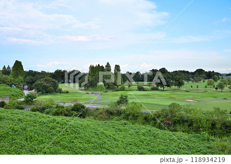 ゴルフ場　荒川河川敷下流　上江橋付近から真夏の風景　　 118934219