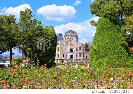 【広島県】秋晴れの原爆ドームとバラの花 118934223