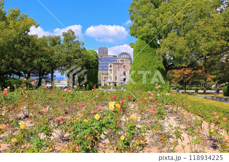 【広島県】秋晴れの原爆ドームとバラの花 【広島県】秋晴れの原爆ドームとバラの花 118934225
