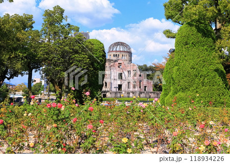 【広島県】秋晴れの原爆ドームとバラの花 118934226