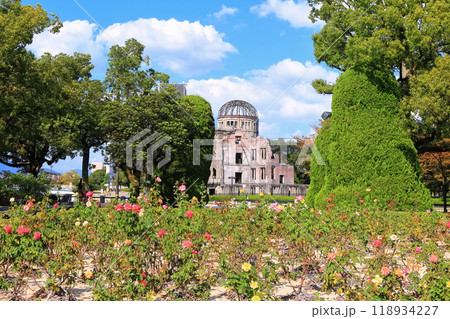 【広島県】秋晴れの原爆ドームとバラの花 【広島県】秋晴れの原爆ドームとバラの花 118934227
