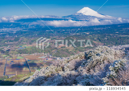 【静岡県】雪化粧した箱根・玄岳から眺める富士山 【静岡県】雪化粧した箱根・玄岳から眺める富士山 118934545