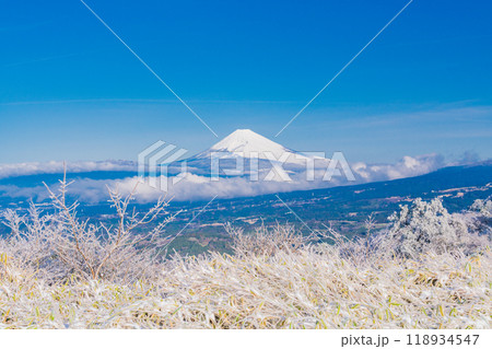 【静岡県】雪化粧した箱根・玄岳から眺める富士山 【静岡県】雪化粧した箱根・玄岳から眺める富士山 118934547