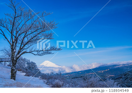 【静岡県】雪化粧した箱根・玄岳から眺める富士山 【静岡県】雪化粧した箱根・玄岳から眺める富士山 118934549