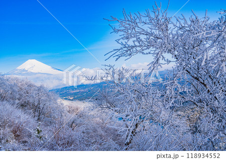 【静岡県】雪化粧した箱根・玄岳から眺める富士山 【静岡県】雪化粧した箱根・玄岳から眺める富士山 118934552