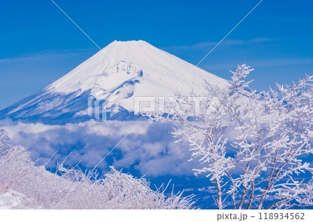 【静岡県】雪化粧した箱根・玄岳から眺める富士山 118934562