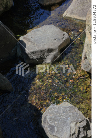 坂出市の香風園の遣水 坂出市の香風園の遣水 118934572