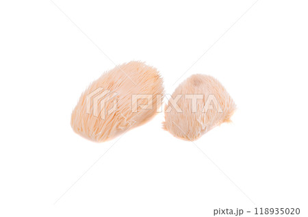 lion mane mushroom isolated on white background. lion mane mushroom isolated on white background. 118935020