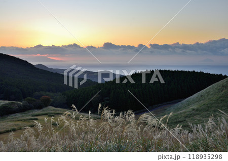 細野高原 118935298