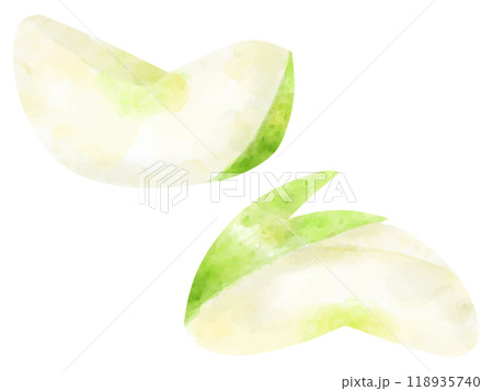 水彩で描いたカットした青りんごのイラストセット 118935740