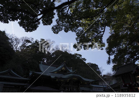 江の島神社辺津宮社殿 118935812