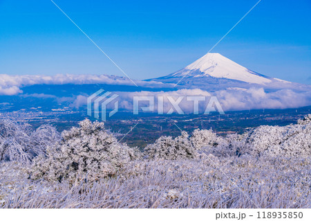 【静岡県】降雪した伊豆スカイラインから眺める富士山 118935850