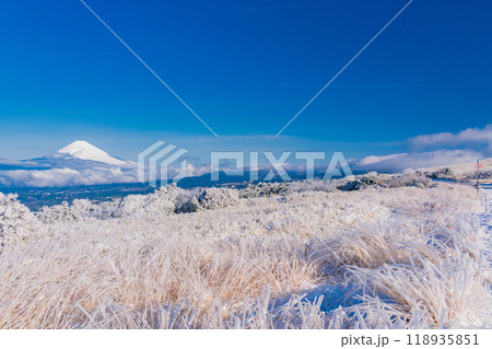【静岡県】降雪した伊豆スカイラインから眺める富士山 118935851