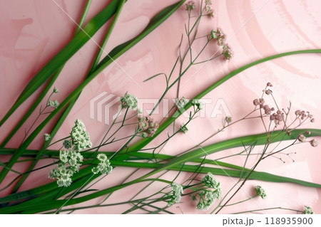 Elegant minimalistic floral design featuring circular ornaments on a soft pastel background Elegant minimalistic floral design featuring circular ornaments on a soft pastel background 118935900