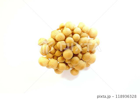 ブナシメジ キノコ きのこ ブナシメジ キノコ きのこ 118936328