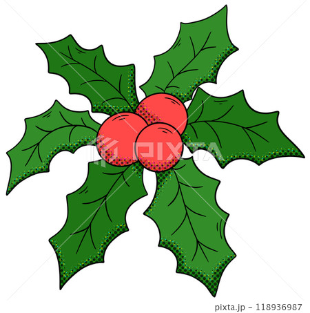 holly leaves and berries christmas pop art illustration 118936987