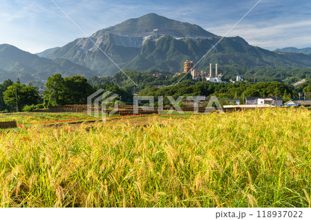 《埼玉県》彼岸花が咲く寺坂棚田・秋の秩父 118937022