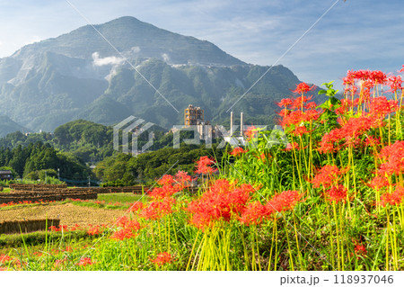《埼玉県》彼岸花が咲く寺坂棚田・秋の秩父 118937046