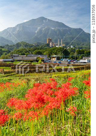 《埼玉県》彼岸花が咲く寺坂棚田・秋の秩父 118937056