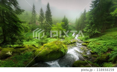 森の中の川と木漏れ日 森の中の川と木漏れ日 118938159