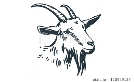 Goat. Vintage retro print, black white goat drawing, sketch ink pencil draw, engrave old school style. Sketch artwork silhouette goat with horns. Side view profile goat. Vector Illustration 118939127
