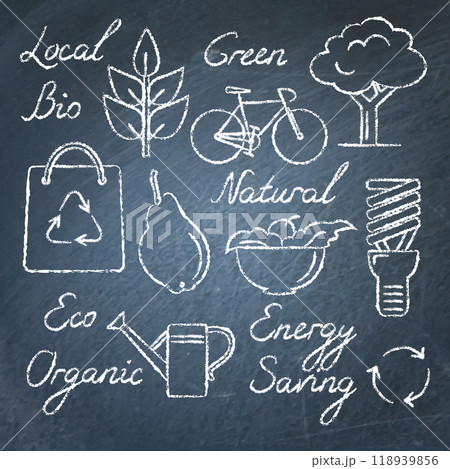 Set of eco icons and lettering on chalkboard 118939856