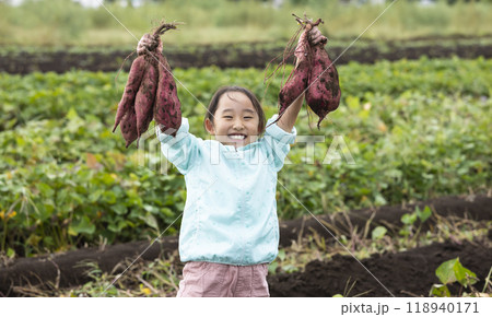 さつま芋堀りをする女の子 118940171