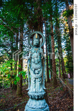 森の中の観音様 118940397