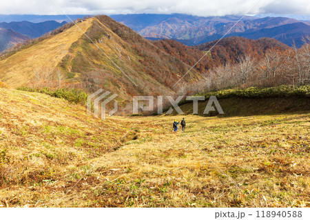 日本の美しい紅葉した景色 118940588