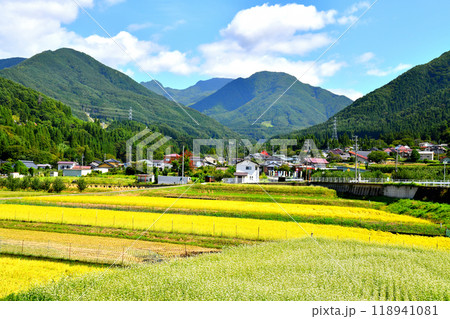 信州高山村の風景(長野県高山村)【2024.9】 信州高山村の風景(長野県高山村)【2024.9】 118941081