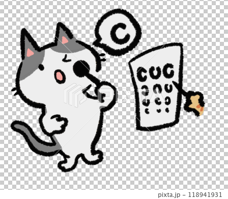 貓咪在眼科檢查期間接受視力測試 貓咪在眼科檢查期間接受視力測試 118941931