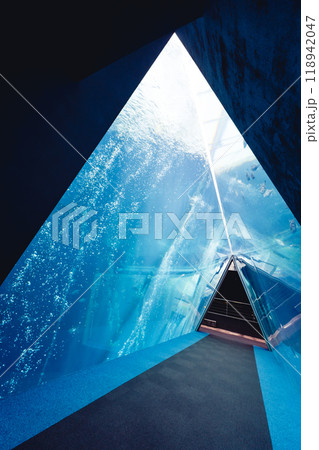 アクアマリンふくしまの三角トンネル アクアマリンふくしまの三角トンネル 118942047