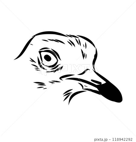Vector card with hand drawn cute plover. Beautiful animal design elements, ink drawing 118942292