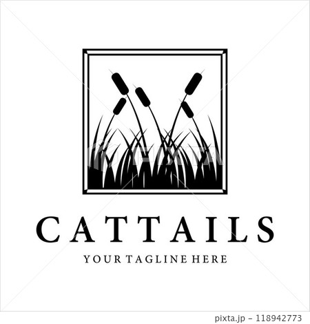 cattails or reed logo vintage vector illustration design 118942773