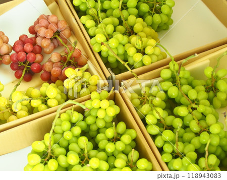 発送準備中のシャインマスカットとクイーンニーナ 発送準備中のシャインマスカットとクイーンニーナ 118943083