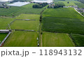 A stunning aerial view highlights vast green fields and organized farm infrastructure 118943132