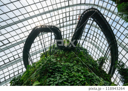 クラウドフォレスト 118943264