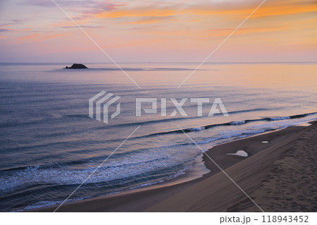 夏の鳥取砂丘　馬の背から日本海に浮かぶ鯨島を臨む 118943452