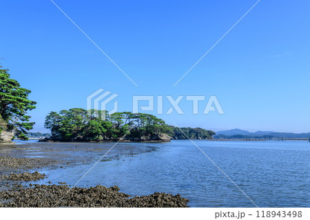 日本三景 松島の海岸を歩く 118943498