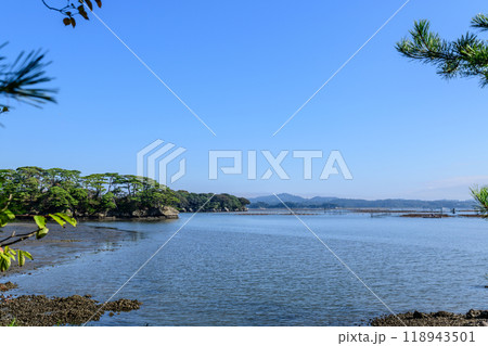 日本三景 松島の海岸を歩く 118943501