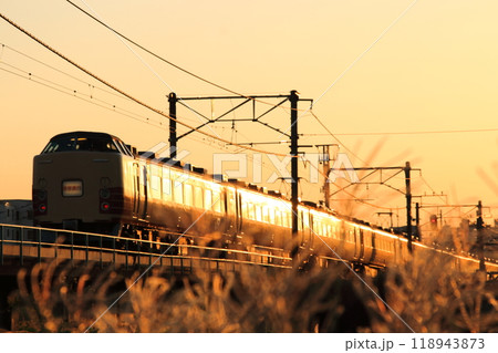 すすきが輝く秋の夕焼け空に車体を染める183(189)系電車(修学旅行臨)_2009/9/24撮影 118943873