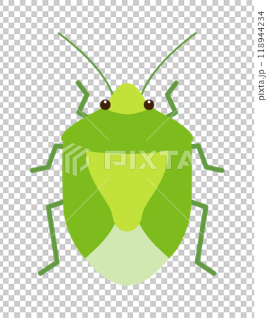 Illustration of a green stink bug (shiny green stink bug) 118944234