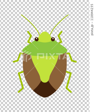 Illustration of a green and brown stink bug (German winged stink bug) 118944235
