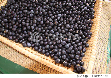 アマゾン産のアサイー　ブラジル 118944836