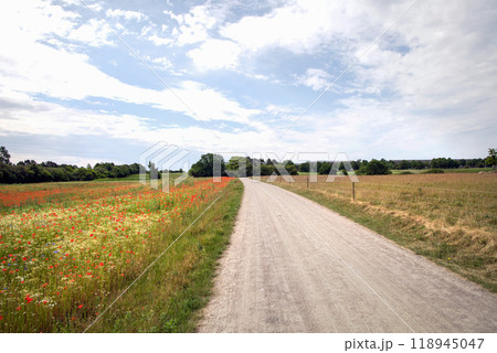 Road in the countryside and cloudy sky on a summer day. 118945047