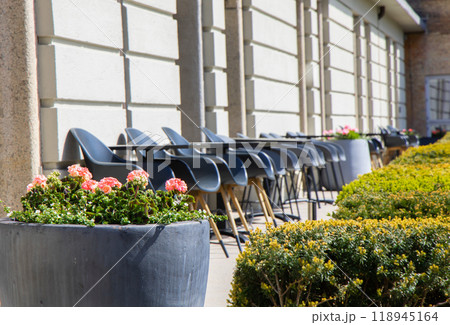 Terrace with outdoor furniture, lounge chairs and flowers in a pot on a sunny day. 118945164