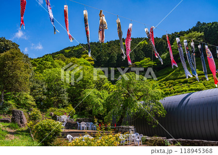 【静岡県】鯉のぼり泳ぐ、熱海・姫の沢公園 118945368