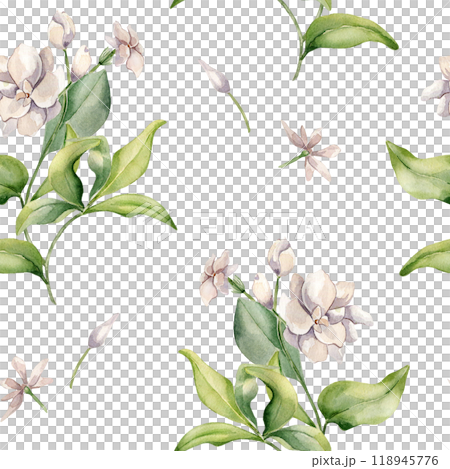 Jasmine bush, buds, leaves watercolor seamless pattern isolated. White flower botanical style hand drawn on repeating texture. Floral background in pale tones for design textile, package, wrapping 118945776