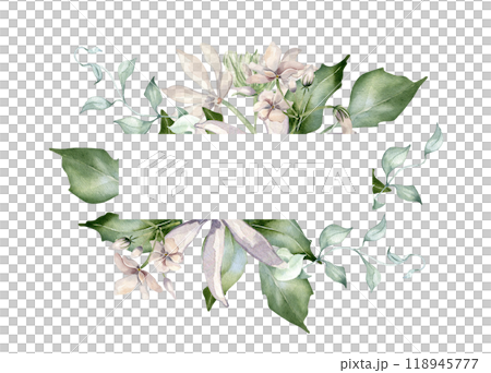 Jasmine blooms in watercolor floral border isolated. Soft pink flower frame botanical style hand drawn. Flowers of jasmine, curvy vine and leaves painted for design label, package, invitation. 118945777