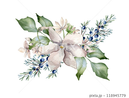 Jasmine pink flowers and juniper branch watercolor illustration isolated. Floral composition in soft tones in botanical style hand drawn. Blooms and coniferous plants painted for wedding, Christmas. Jasmine pink flowers and juniper branch watercolor illustration isolated. Floral composition in soft tones in botanical style hand drawn. Blooms and coniferous plants painted for wedding, Christmas. 118945779